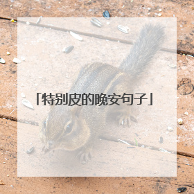 特别皮的晚安句子