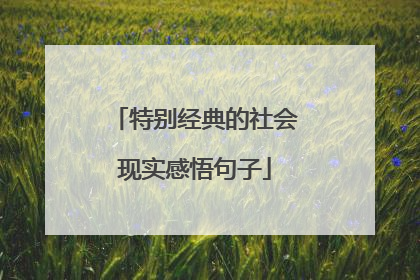 特别经典的社会现实感悟句子