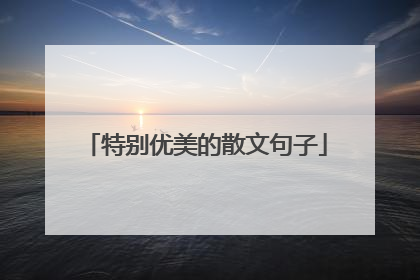 特别优美的散文句子