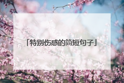 特别伤感的简短句子