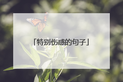 特别伤感的句子