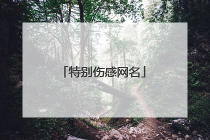 特别伤感网名