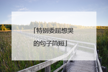 特别委屈想哭的句子简短