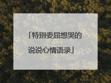 特别委屈想哭的说说心情语录