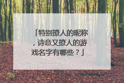 特别撩人的昵称,诗意又撩人的游戏名字有哪些?