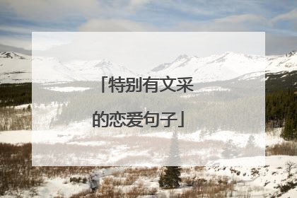 特别有文采的恋爱句子