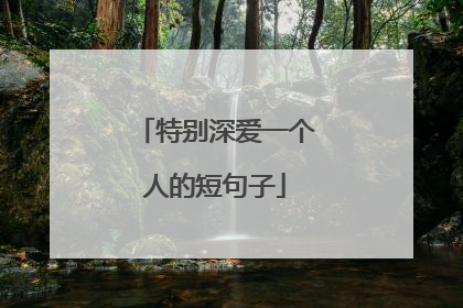 特别深爱一个人的短句子