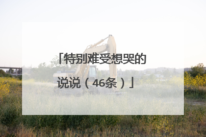 特别难受想哭的说说(46条)