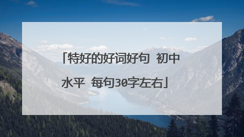 特好的好词好句 初中水平 每句30字左右