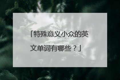特殊意义小众的英文单词有哪些?