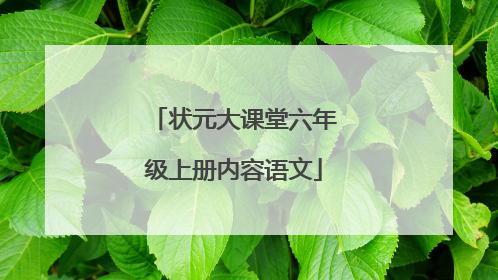 状元大课堂六年级上册内容语文