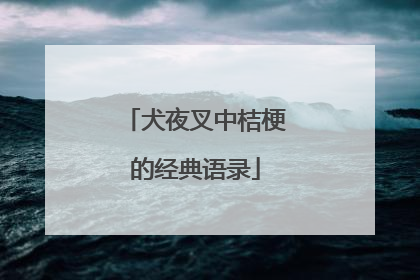 犬夜叉中桔梗的经典语录