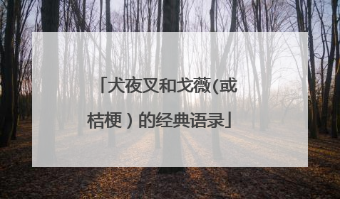 犬夜叉和戈薇(或桔梗）的经典语录