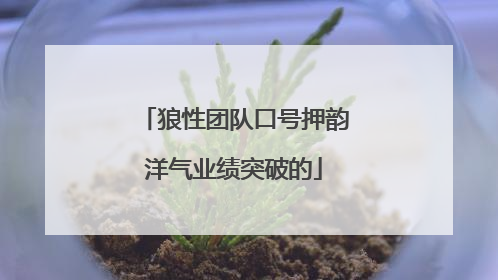狼性团队口号押韵洋气业绩突破的