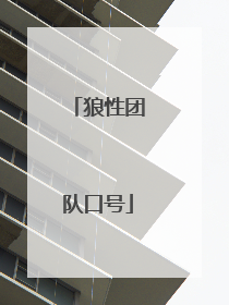 狼性团队口号