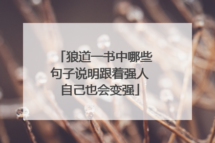 狼道一书中哪些句子说明跟着强人自己也会变强