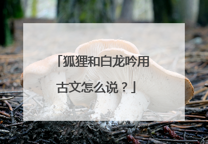 狐狸和白龙吟用古文怎么说?