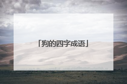 狗的四字成语