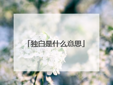 独白是什么意思