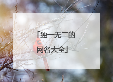 独一无二的网名大全