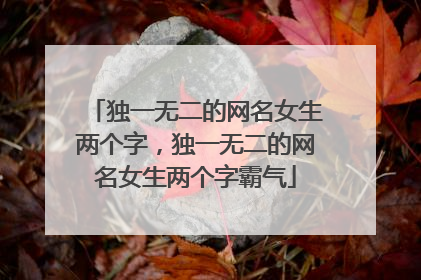 独一无二的网名女生两个字，独一无二的网名女生两个字霸气