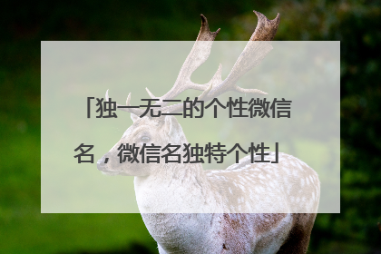 独一无二的个性微信名，微信名独特个性