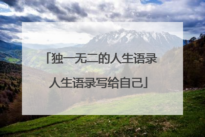 独一无二的人生语录 人生语录写给自己