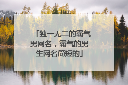 独一无二的霸气男网名,霸气的男生网名简短的