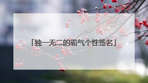 独一无二的霸气个性签名