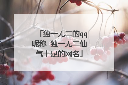 独一无二的qq昵称 独一无二仙气十足的网名