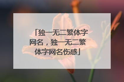 独一无二繁体字网名,独一无二繁体字网名伤感