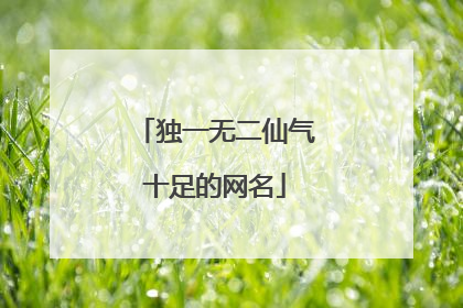 独一无二仙气十足的网名