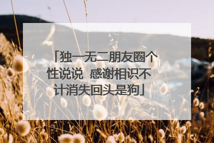 独一无二朋友圈个性说说 感谢相识不计消失回头是狗