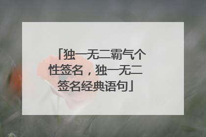独一无二霸气个性签名,独一无二签名经典语句