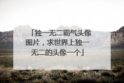 独一无二霸气头像图片,求世界上独一无二的头像一个