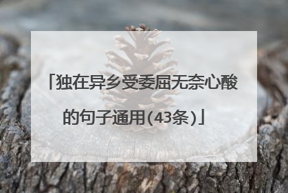 独在异乡受委屈无奈心酸的句子通用(43条)