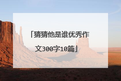 猜猜他是谁优秀作文300字10篇
