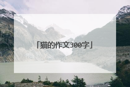 猫的作文300字