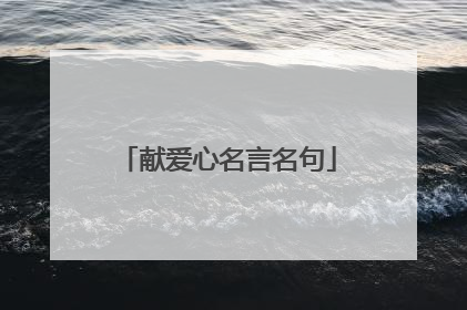 献爱心名言名句