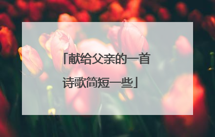 献给父亲的一首诗歌简短一些