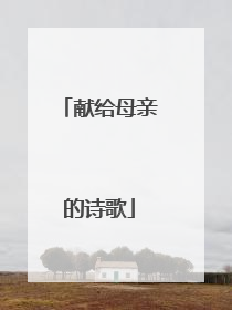 献给母亲的诗歌
