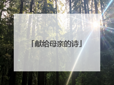 献给母亲的诗
