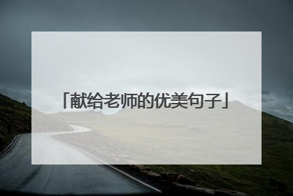 献给老师的优美句子