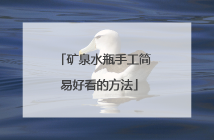 矿泉水瓶手工简易好看的方法