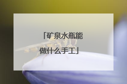 矿泉水瓶能做什么手工