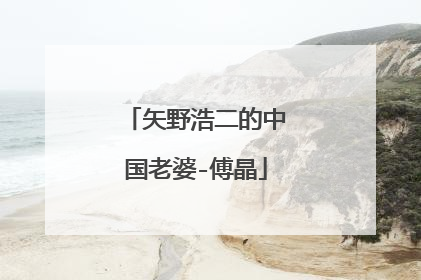 矢野浩二的中国老婆-傅晶