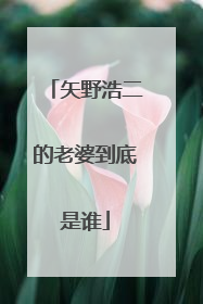 矢野浩二的老婆到底是谁