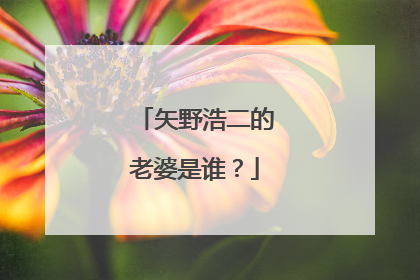 矢野浩二的老婆是谁?