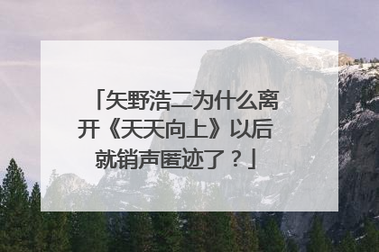 矢野浩二为什么离开《天天向上》以后就销声匿迹了?