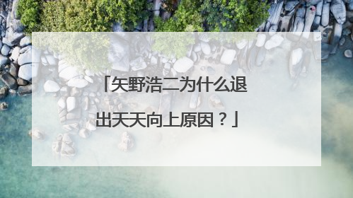 矢野浩二为什么退出天天向上原因?